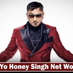 Honey Singh Net Worth