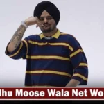 Sidhu Moose Wala Net Worth