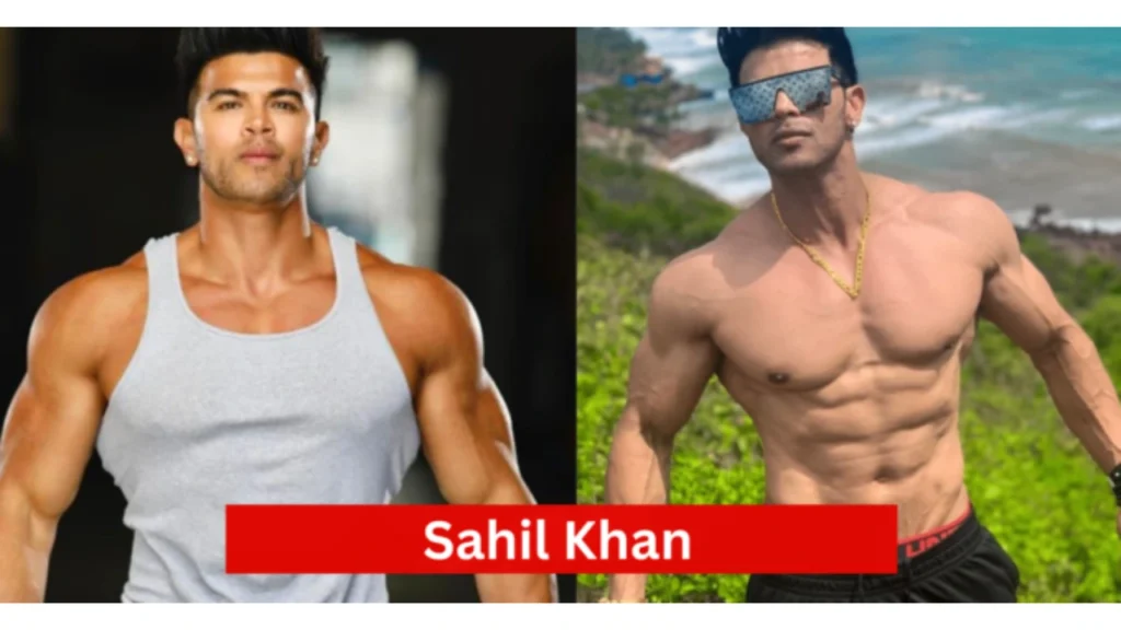 Sahil Khan Net Worth